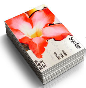 Floristry business cards